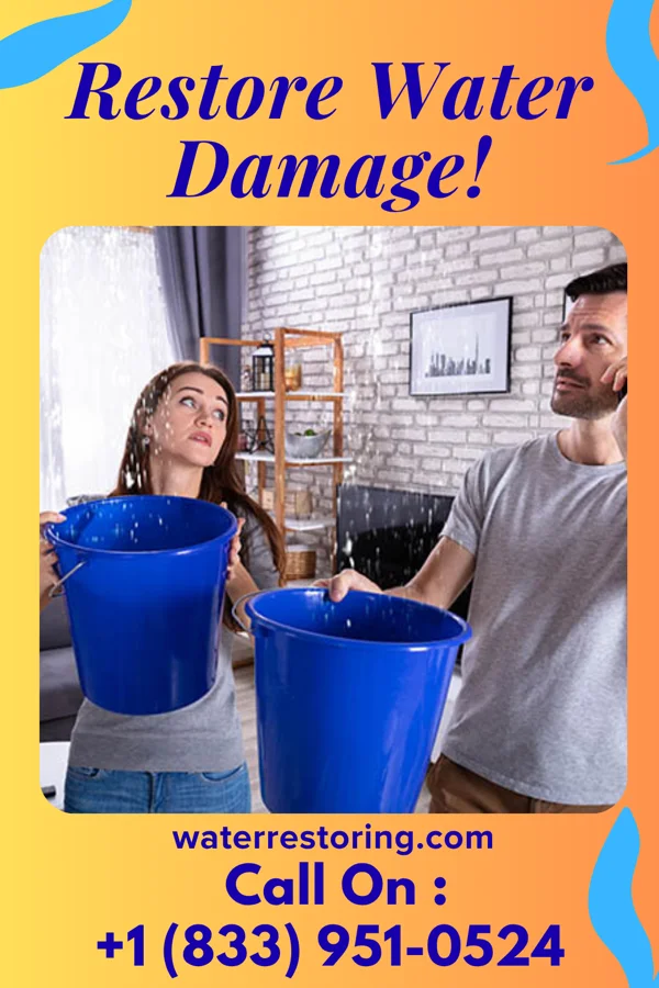 water restoration Heritage Damage Recovery Authority Loyal