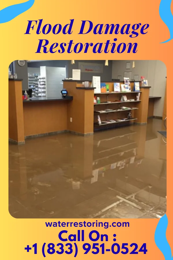 Flood Damage Restoration in Loyal, WI